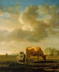 Vaches dans un champ