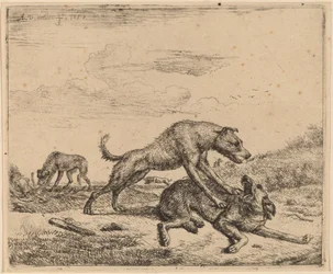 Chiens de combat