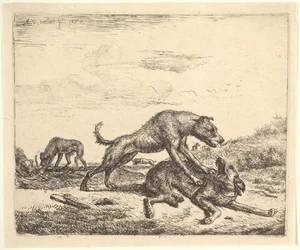 Chiens de combat, de Différents Animaux