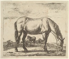 Cheval broutant, de Différents animaux