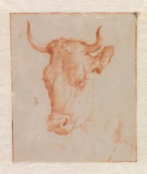 Tête de vache