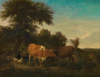 Paysage