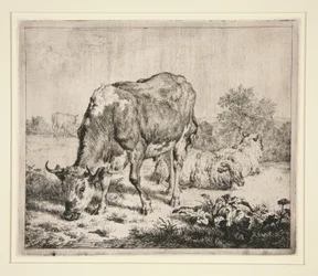 Le Bœuf Pie et les trois moutons