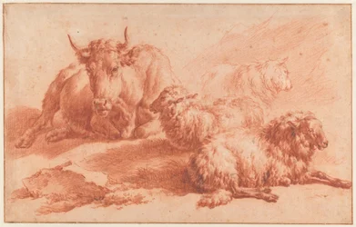 Vache couchée et trois moutons