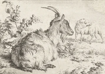 Chèvre couchée, 1670