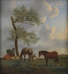 Pâturage avec chevaux et bovins