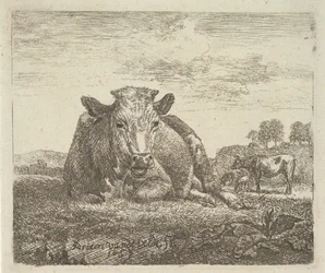Vache couchée, de Différents Animaux