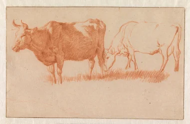 Deux vaches