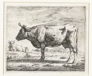 Deux vaches et un mouton