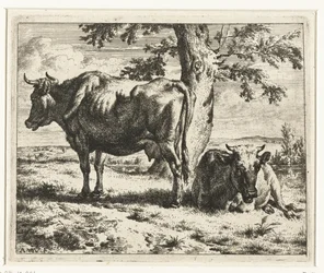 Deux vaches sous un arbre