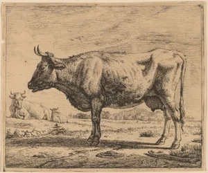 Deux Vaches et un Mouton