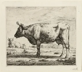 Deux vaches et un mouton