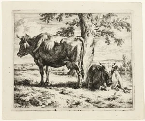 Deux vaches sous un arbre