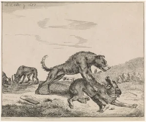 Chiens se battant (Vee)