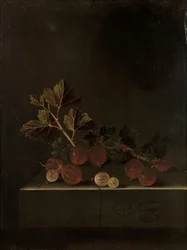 Branche de groseilles sur un socle en pierre, 1699