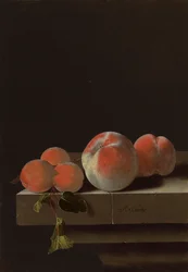 Pêches et abricots sur un rebord de pierre