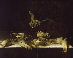 Nature morte aux noisettes, 1696