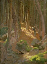 Crépuscule dans une forêt