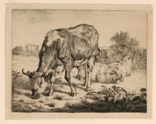 Bœuf et trois moutons