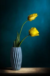 Élégantes tulipes jaunes
