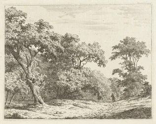 Paysage avec arbres et un homme en route