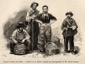 Avant le commerce des moutons, tout le personnel de la ferme était employé à cette tâche, garçon, serviteur, sous la supervision du berger, le lait était collecté dans les seilles (vase métallique étamé), gravure d