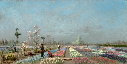 Les champs de jacinthes en fleurs à la pépinière Van Houtte, Gand avec vue sur l