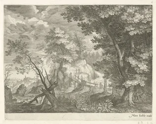 Paysage forestier avec pont en bois