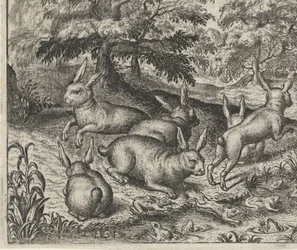Fable des lièvres et des grenouilles
