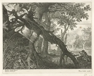 Chasse aux lapins dans un paysage forestier