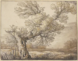 Paysage près de Dordrecht