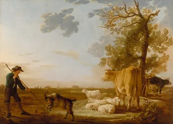 Paysage avec du bétail