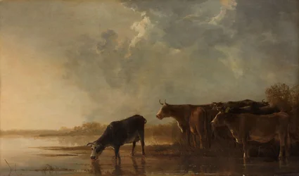 Paysage fluvial avec des vaches
