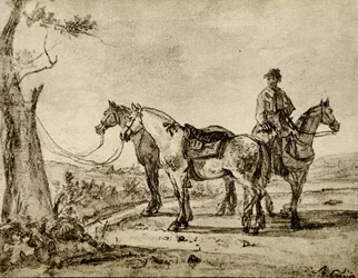 Trois chevaux