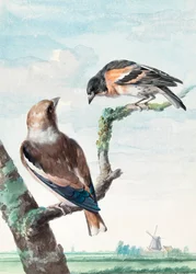 Deux oiseaux  Le gros-bec