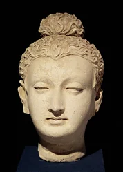 Tête de Bouddha, style gréco-bouddhique, provenant de Hadda (stuc)