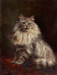 Chat persan, c.1908-20
