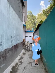 Reine, 2023