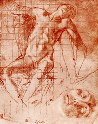 Études