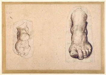 Deux études d