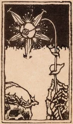 La mort et la fleur