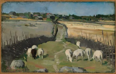 Paysage avec des moutons