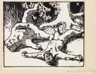 Homme et ours tués au combat