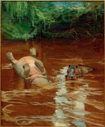 Hippopotames dans le Tana