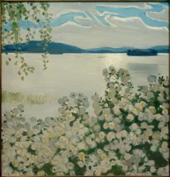 Roses blanches