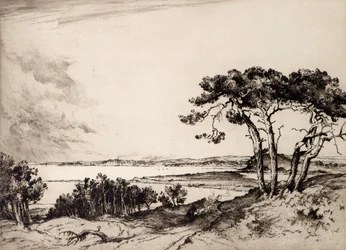 Poole