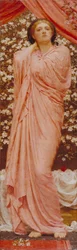 Fleurs