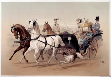 Une voiture Victoria et les chevaux de Tarbes