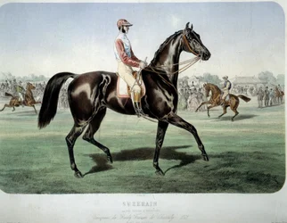 Courses : Suzerain, vainqueur du derby de Chantilly en 1868. Lithographie par Albert Adam (1833-?) Collection privée