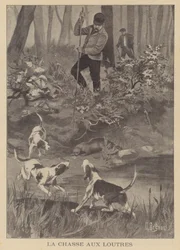 Chasse aux loutres